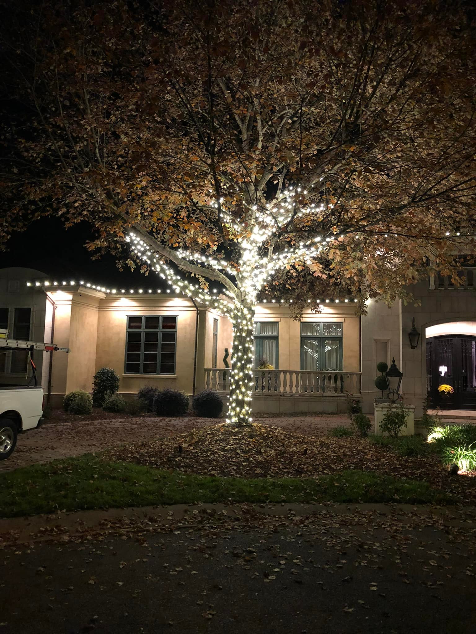 Residential Christmas Light Installation Charlotte NC